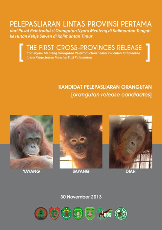 Candidate Profiles Cross-Provinces Orangutan Release-1